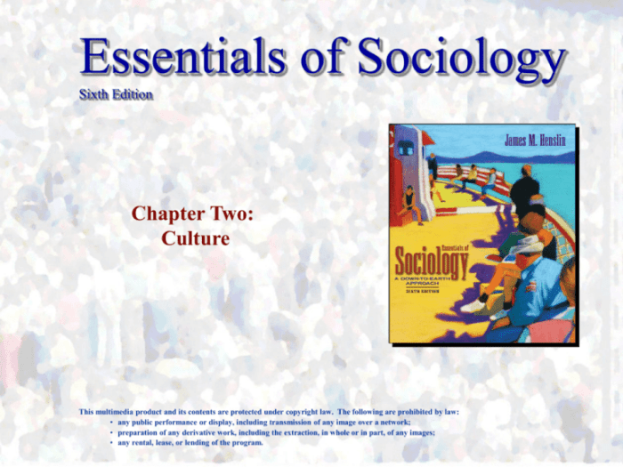 Sociology the essentials 10th edition free