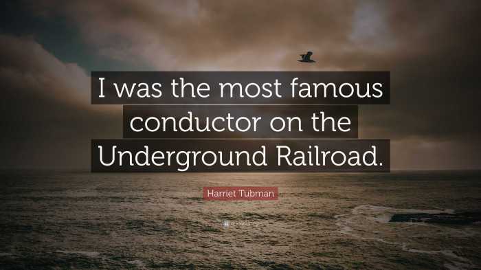 Underground railroad william still quote quotes father know abolitionist choose board canada