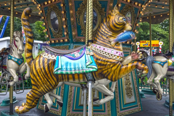 Go round merry park lagoon amusement