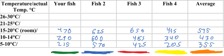 Goldfish tail circulation lab answers