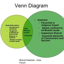 Patriots loyalists vs venn diagram loyalist patriot instead reasons would colonist choose american revolution over unlimited member access ll also