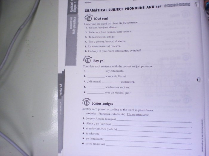 Gramatica a subject pronouns and ser worksheet answers