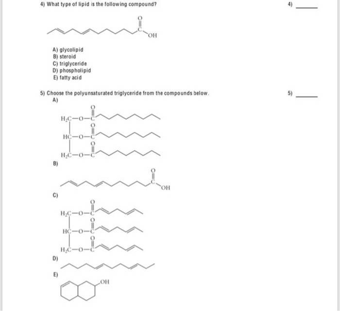 Choose the polyunsaturated fatty acid from the compounds below