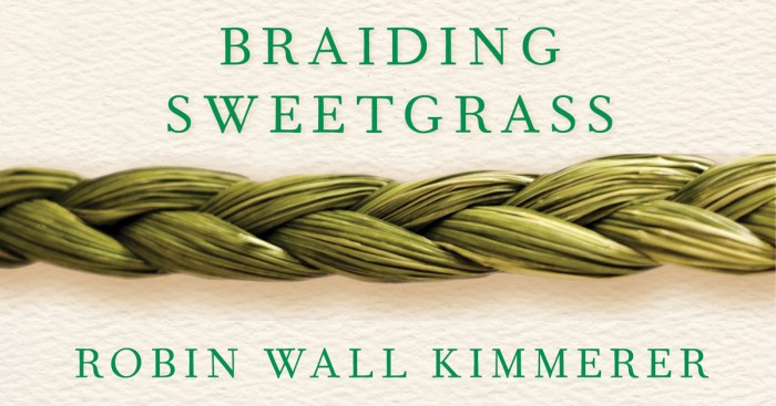 Braiding sweetgrass asters and goldenrod summary