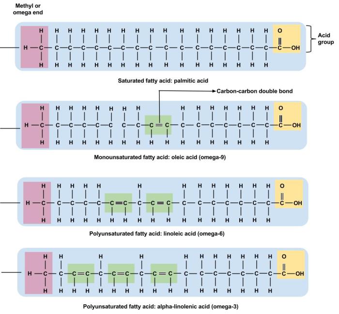 Fatty acids polyunsaturated nutrients simplest ratio potential cardiovascular disorders