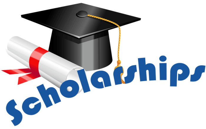 Scholarships are awarded based on accomplishments skills or academic performance